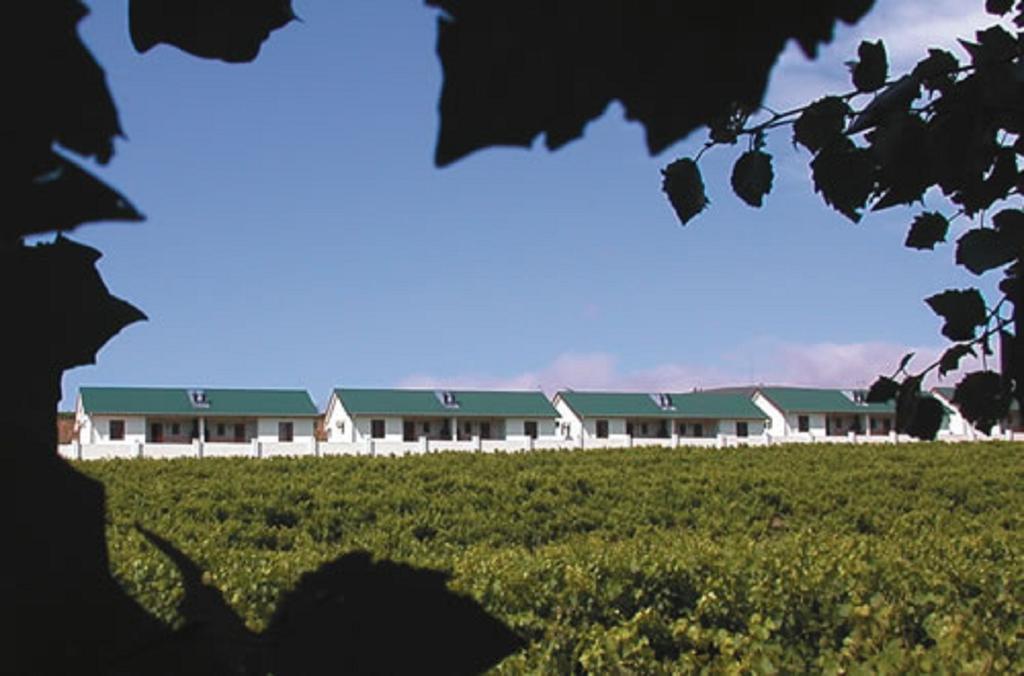 D'Aria Guest Cottages Durbanville Eksteriør bilde