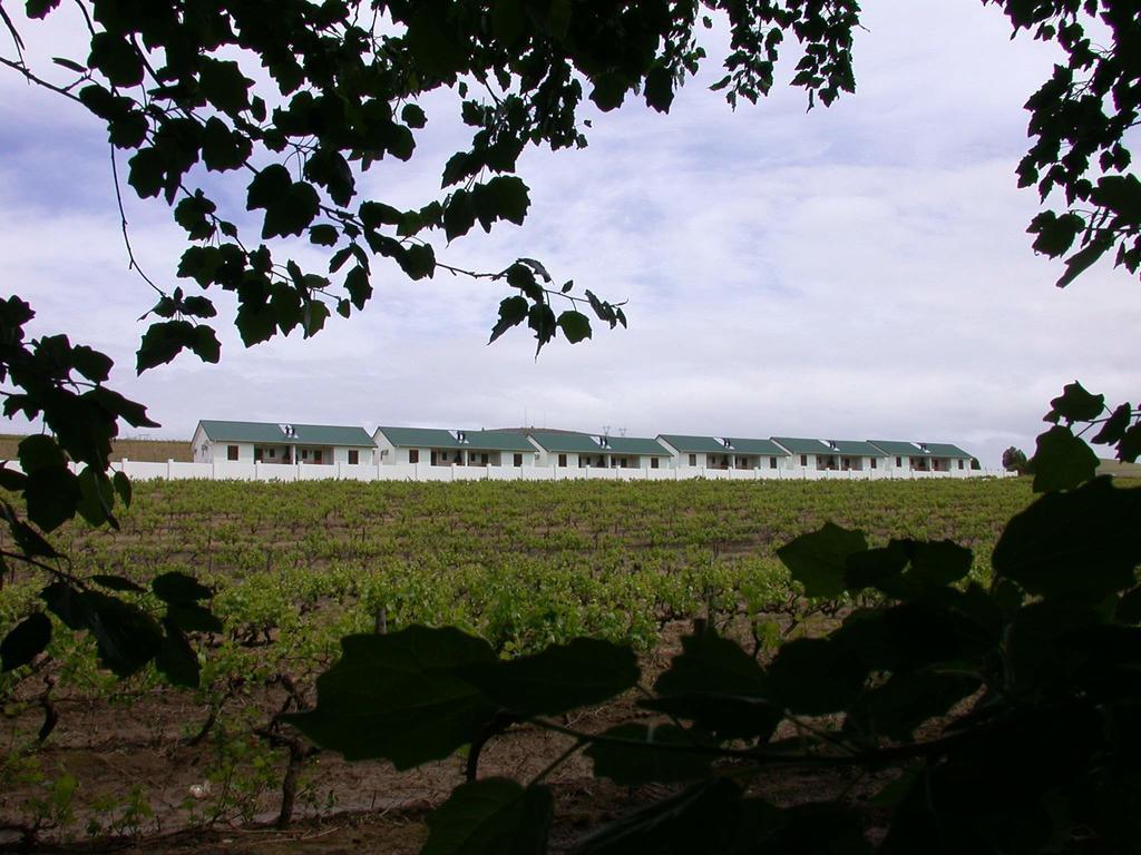 D'Aria Guest Cottages Durbanville Eksteriør bilde